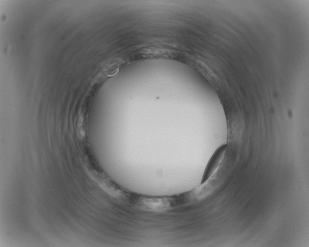 X0000081450187200701261922