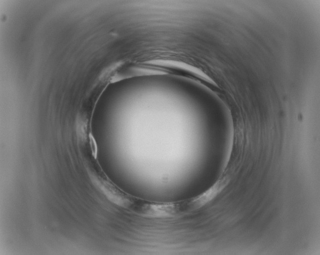 X0000081450188200701261922