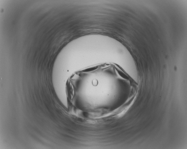 X0000081450190200701261922