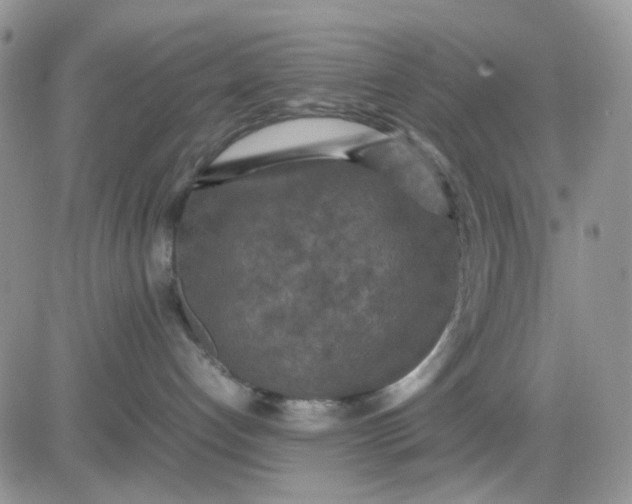 X0000081450192200701261922