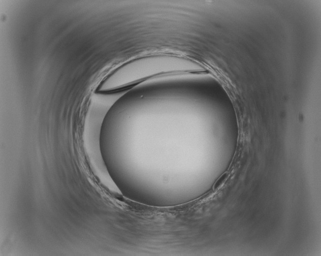 X0000081450193200701261921