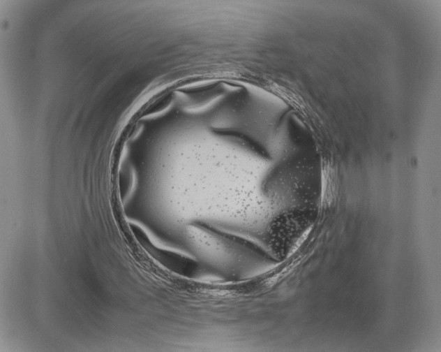 X0000081450195200701261921