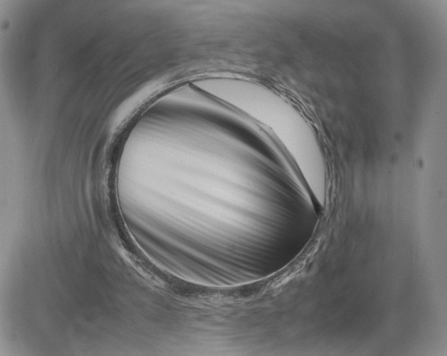 X0000081450197200701261921