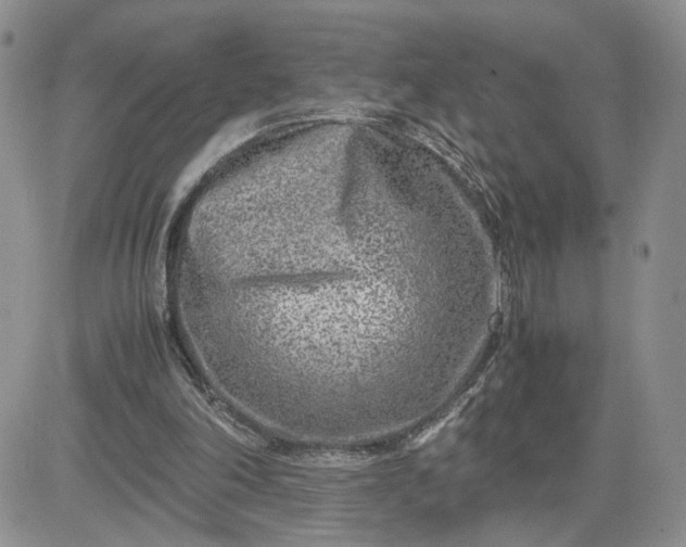 X0000081450198200701261921