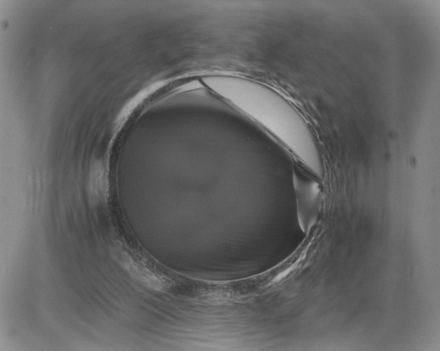 X0000081450200200701261921