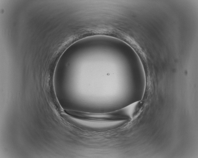 X0000081450201200701261921