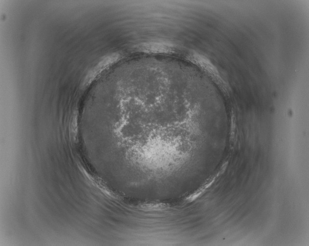 X0000081450202200701261921