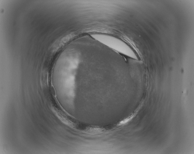 X0000081450205200701261921