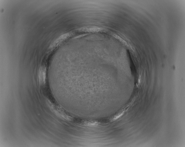 X0000081450206200701261921