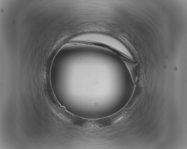 X0000081450207200701261921