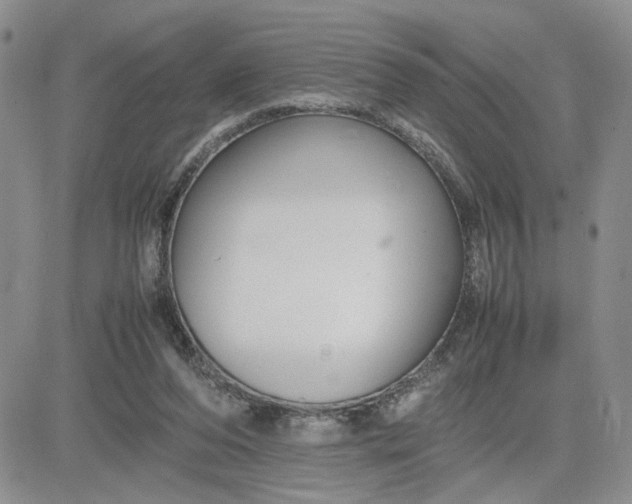 X0000081450208200701261921