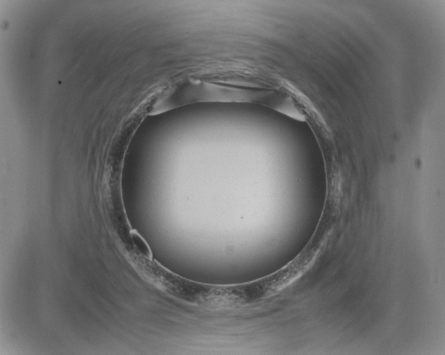 X0000081450209200701261921