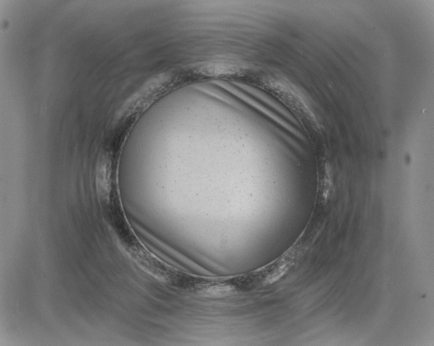 X0000081450210200701261921