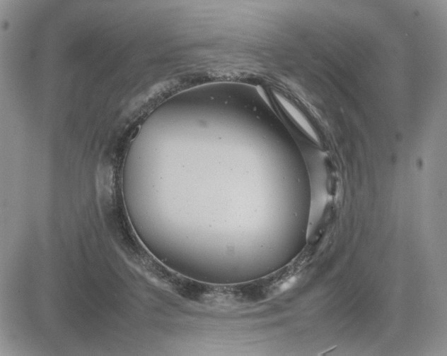 X0000081450211200701261921