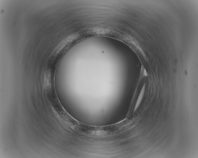 X0000081450212200701261921