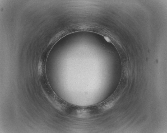 X0000081450216200701261921