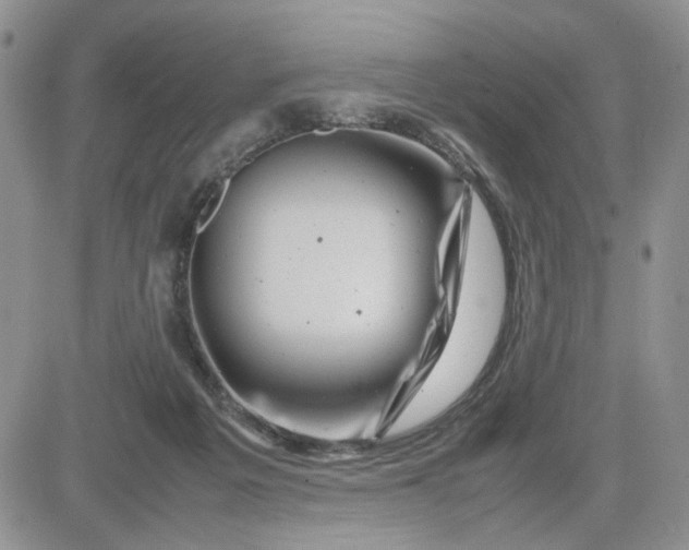 X0000081450217200701261921