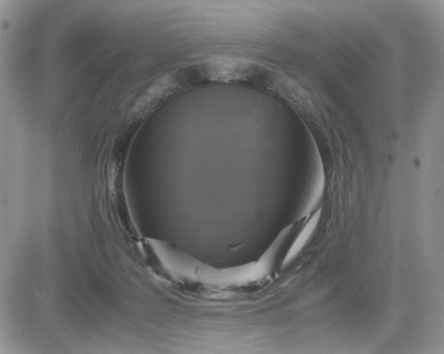 X0000081450219200701261921