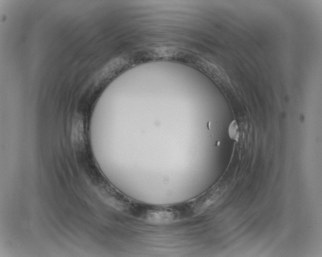 X0000081450220200701261921