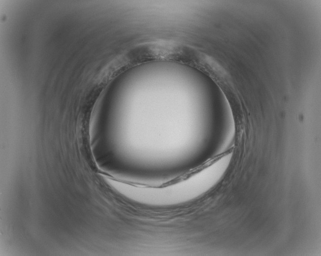 X0000081450221200701261921