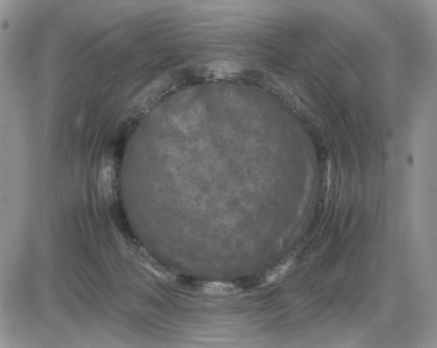 X0000081450222200701261921