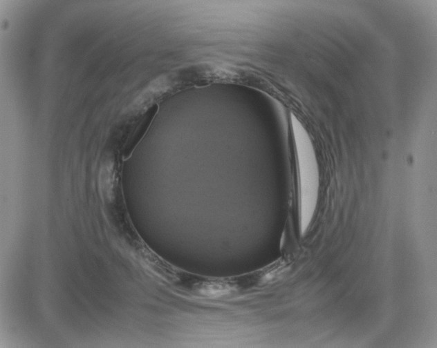 X0000081450223200701261921