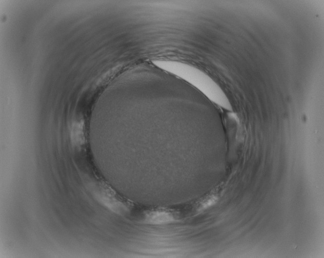 X0000081450224200701261921