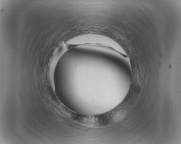 X0000081450225200701261921