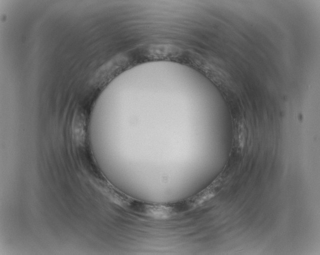 X0000081450226200701261921