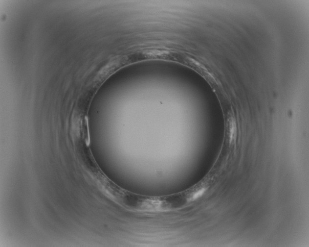 X0000081450227200701261921