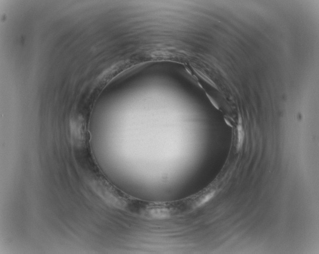 X0000081450228200701261921