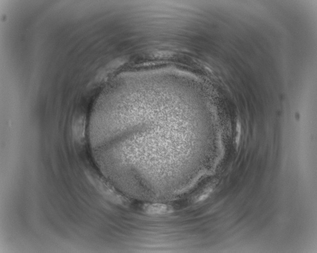 X0000081450230200701261921