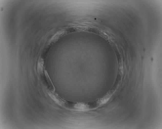 X0000081450231200701261921