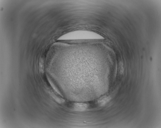 X0000081450234200701261920