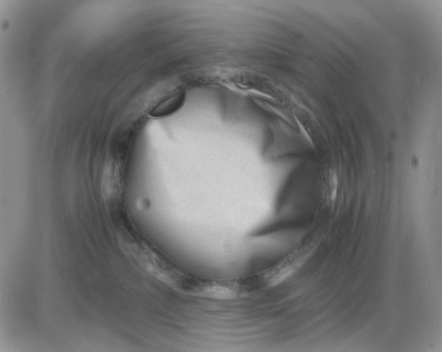 X0000081450236200701261920