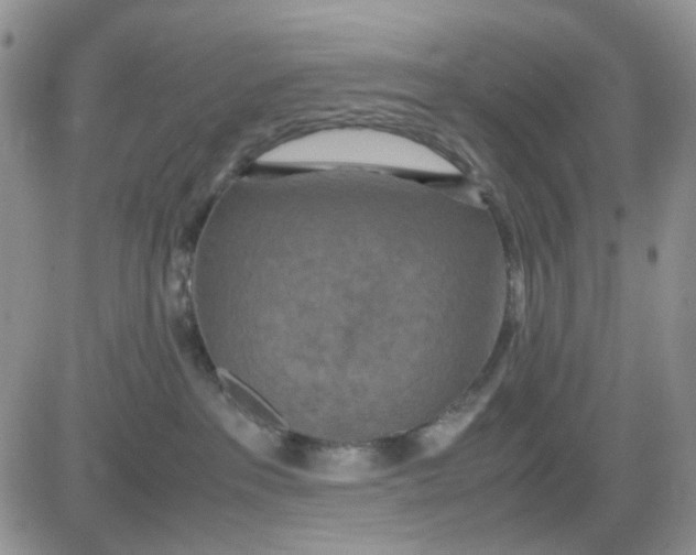 X0000081450237200701261920