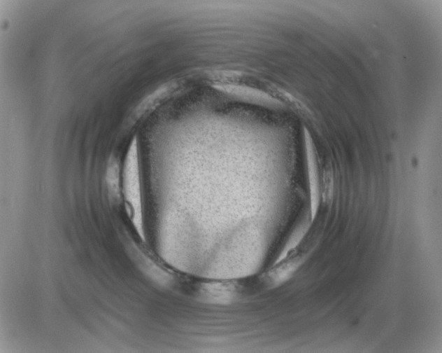 X0000081450238200701261920