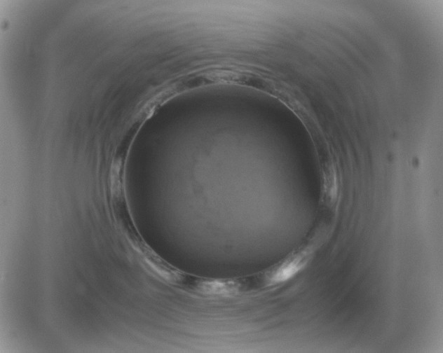 X0000081450239200701261920