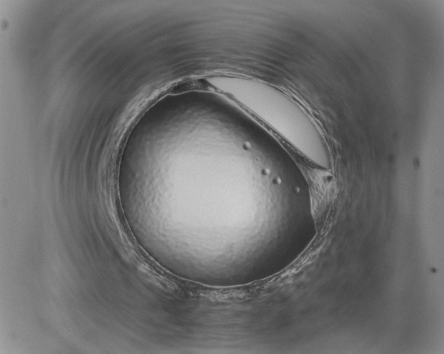 X0000081450241200701261920