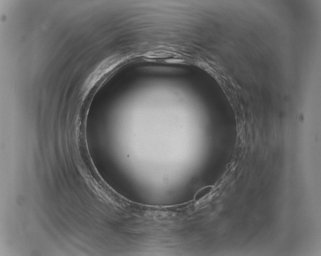 X0000081450242200701261920