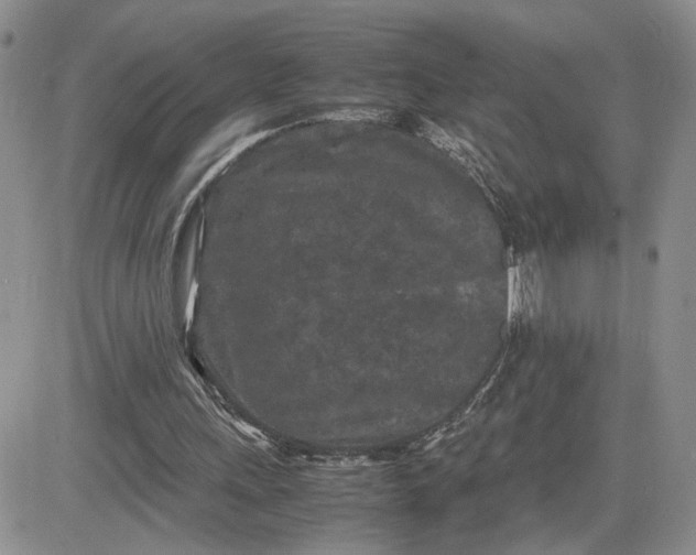 X0000081450243200701261920