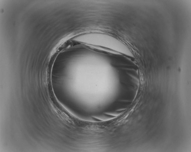 X0000081450244200701261920