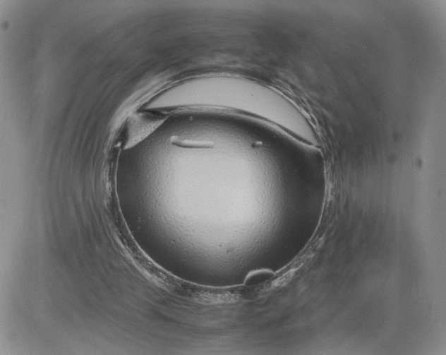 X0000081450245200701261920