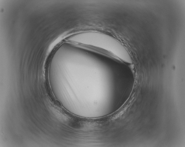 X0000081450246200701261920