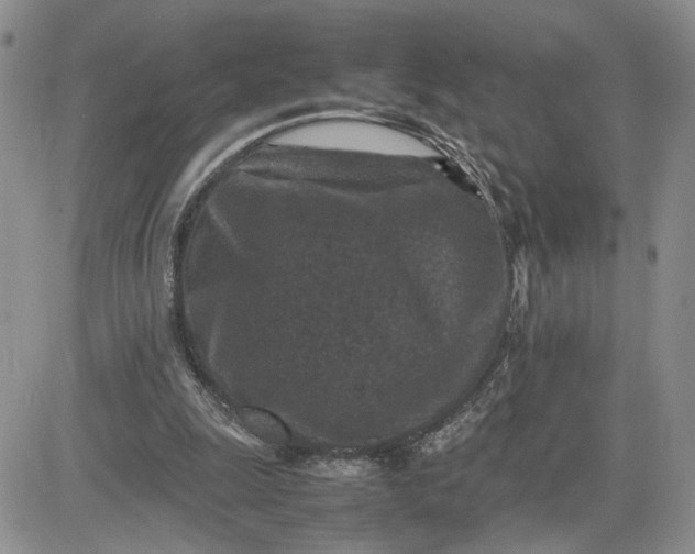 X0000081450247200701261920