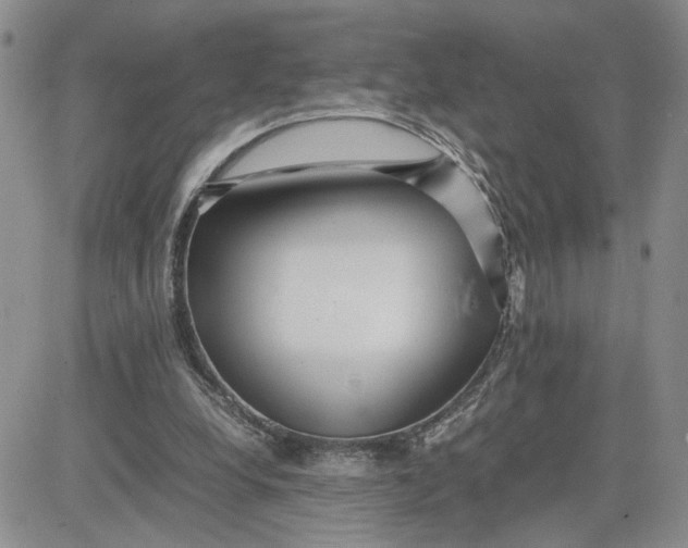 X0000081450248200701261920