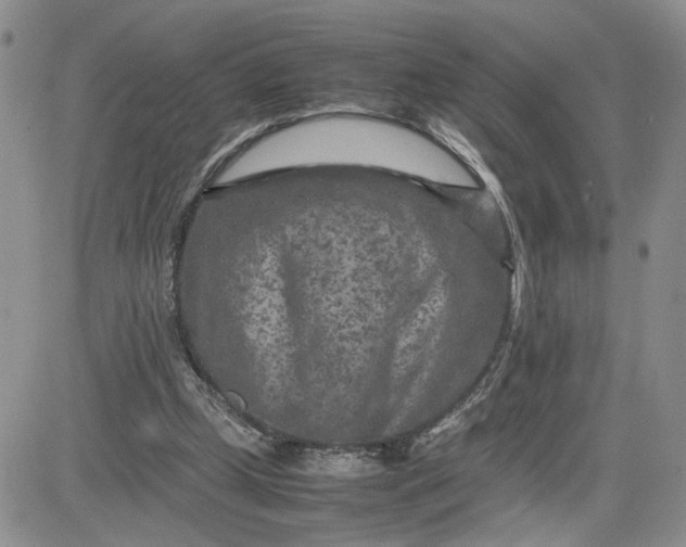 X0000081450249200701261920