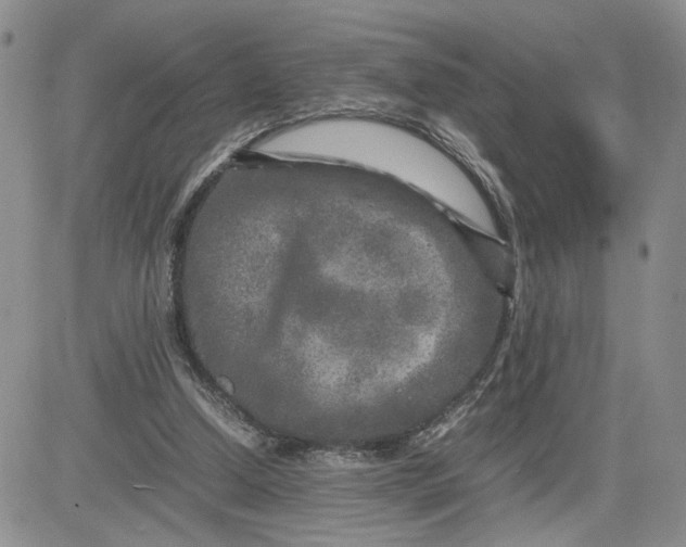 X0000081450250200701261920