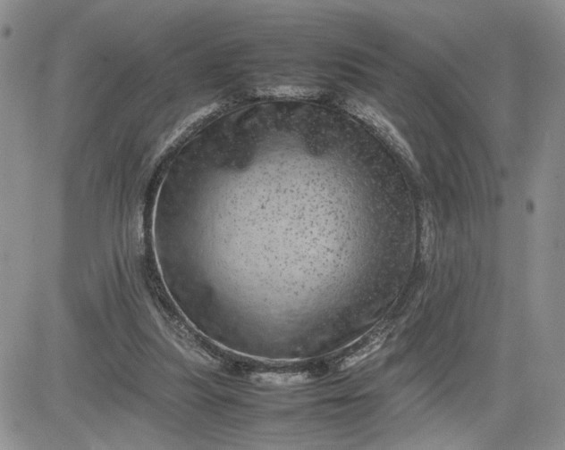 X0000081450251200701261920