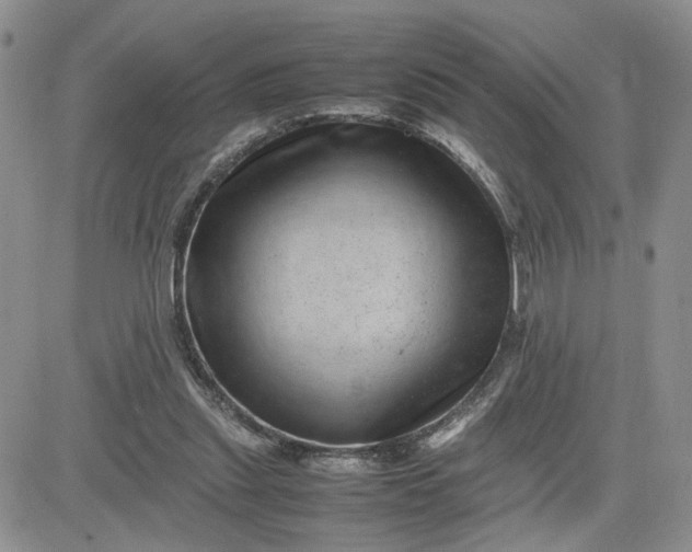 X0000081450253200701261920